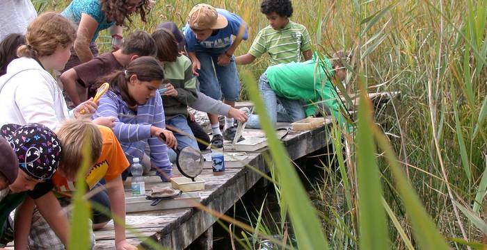 Kinder entdecken Amphibien